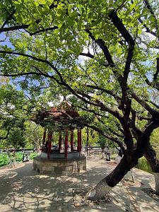 Kunming - Parc Cuihu - 52